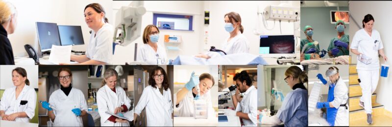 CAG IBD – Precision Medicine in Inflammatory Bowel Disease